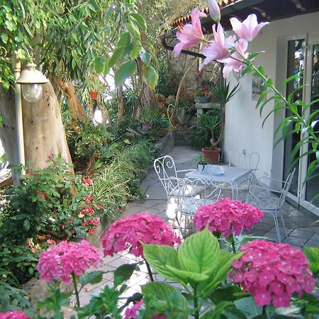 איסקיה Hotel Europa מראה חיצוני תמונה